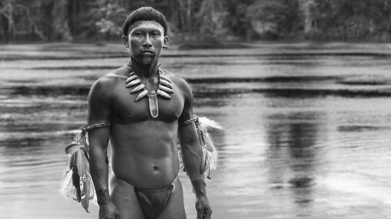 Field Report: Embrace of the Serpent (El abrazo de la serpiente)