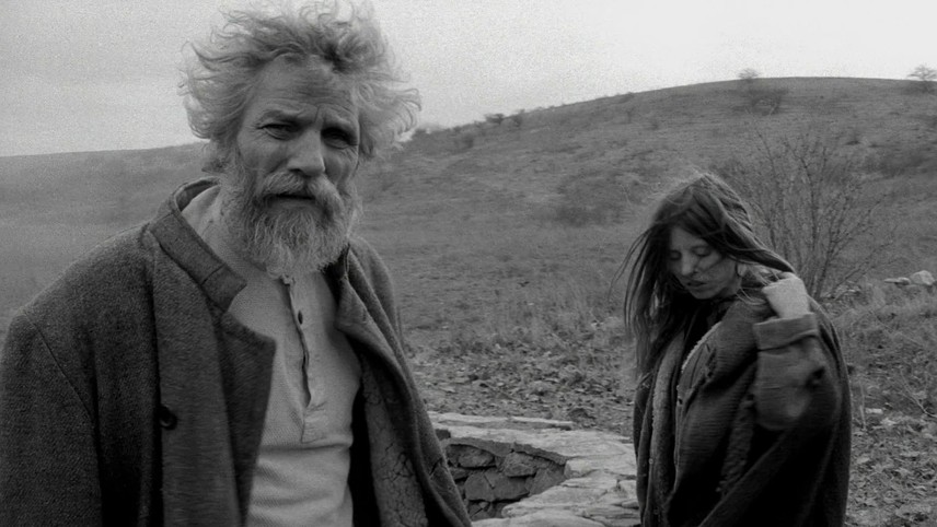 Six Days Until Nothing: The Turin Horse and the End of Everything
